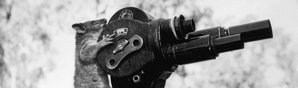 camera-blog camera-blog