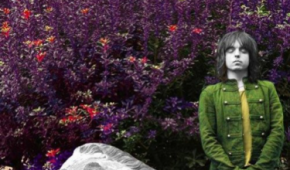Pigmy-popchild2016 Pigmy