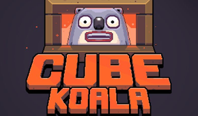 Cube Koala